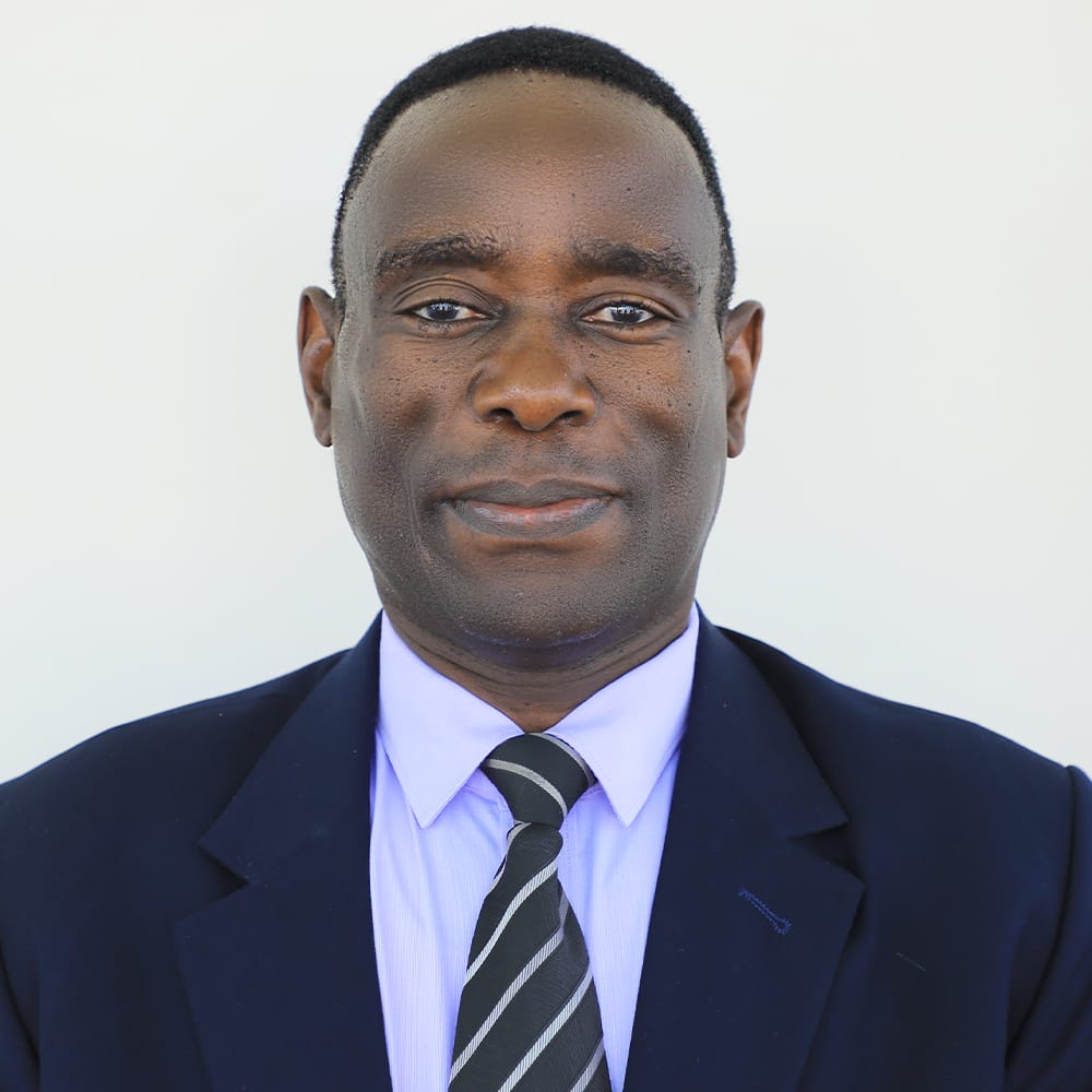 Prof. Appolinary Kamuhabwa
